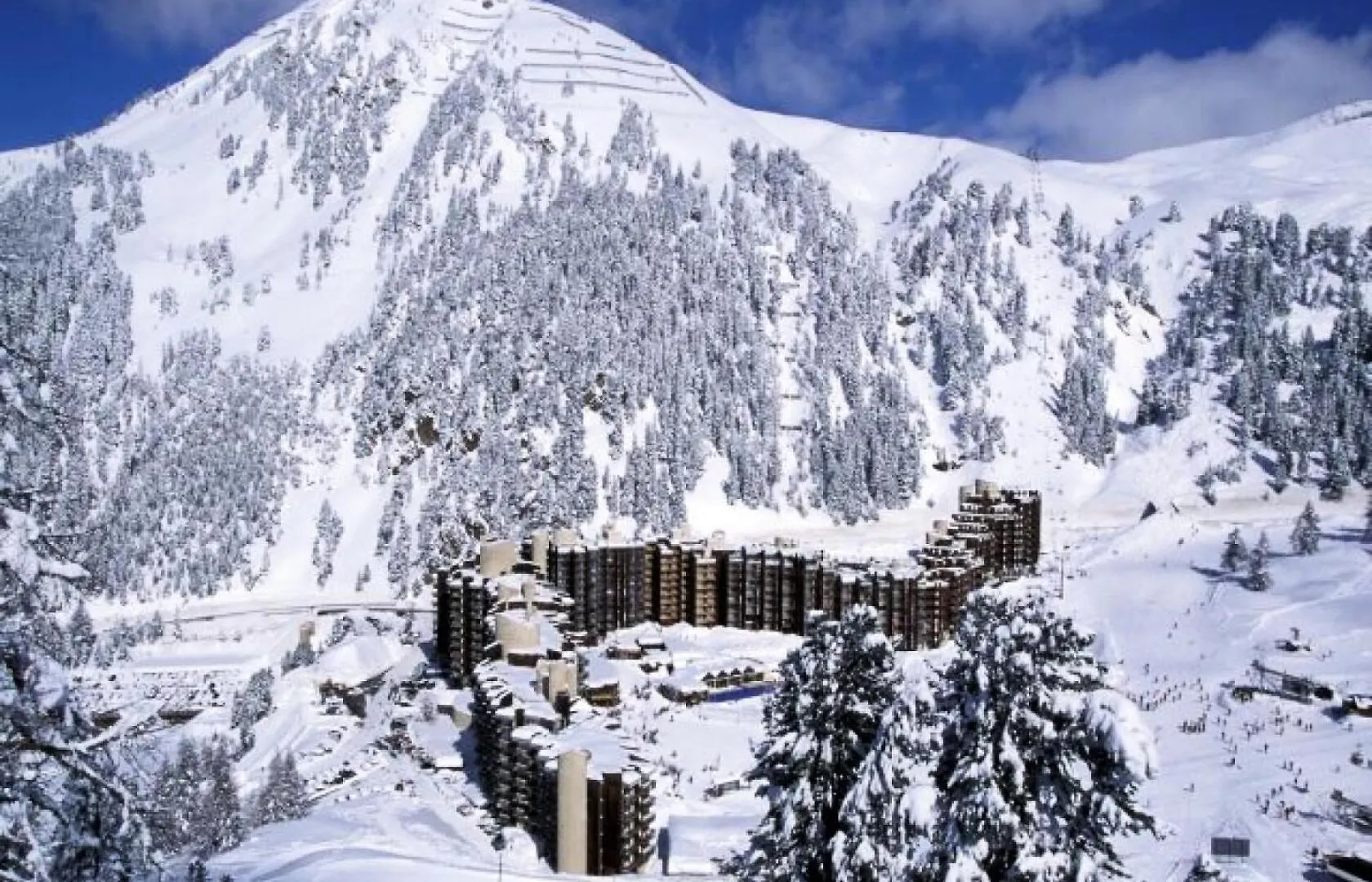 Residence Les Glaciers 3 - 2 Pieces Pour 5 Personnes 214 La Plagne Appartement